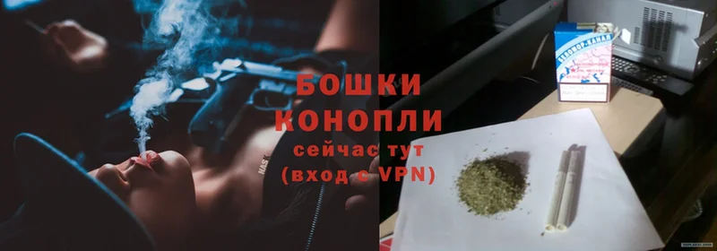 купить наркоту  Белинский  Бошки Шишки SATIVA & INDICA 